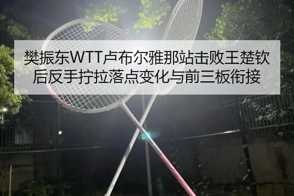 樊振东WTT卢布尔雅那站击败王楚钦后反手拧拉落点变化与前三板衔接